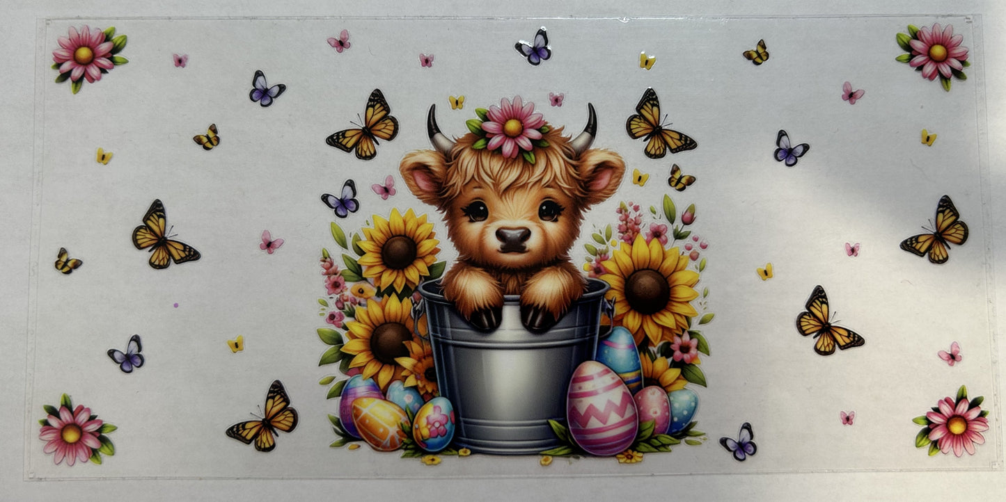 Blonde Highland Cow in a bucket