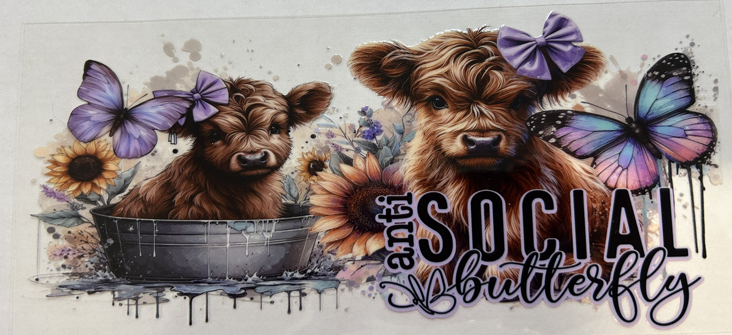 Anti-Social butterfly