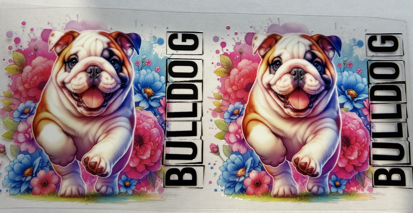 Bulldog