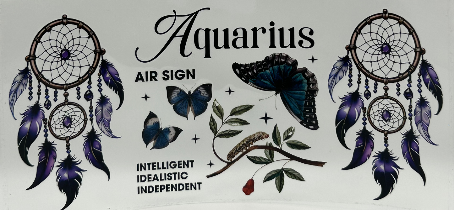 Aquarius Dreamcatcher