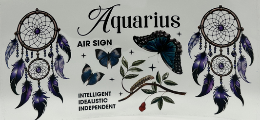 Aquarius Dreamcatcher