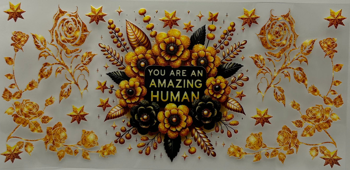 You are an Amazing Human