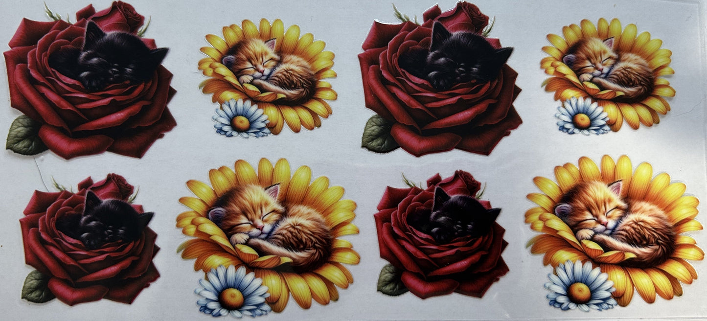 Kittens in Roses