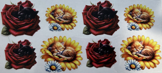 Kittens in Roses