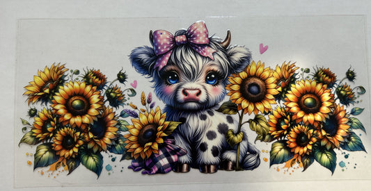 Highland cow with sunflowers