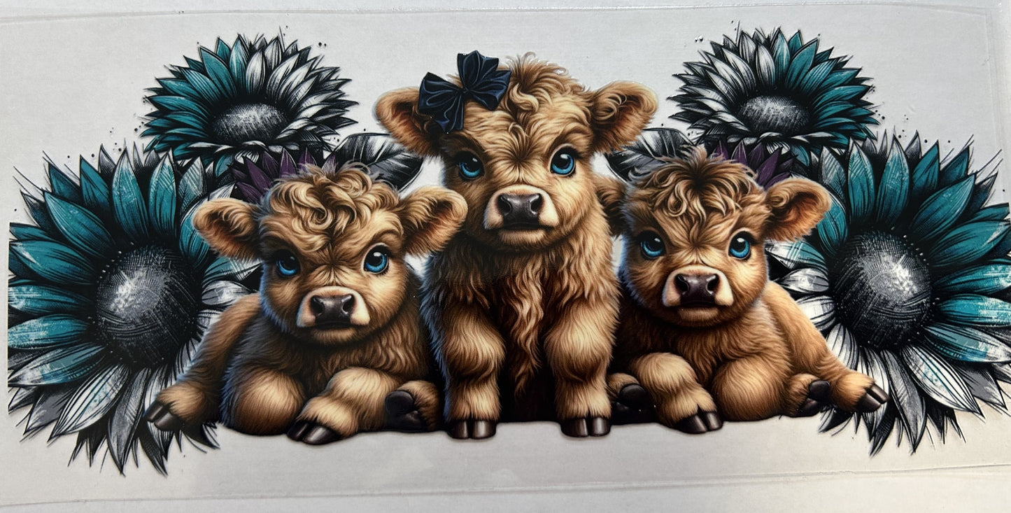 Teal flowers with Highland Cows