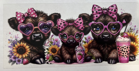 Pink bowed Highland cows and drinks