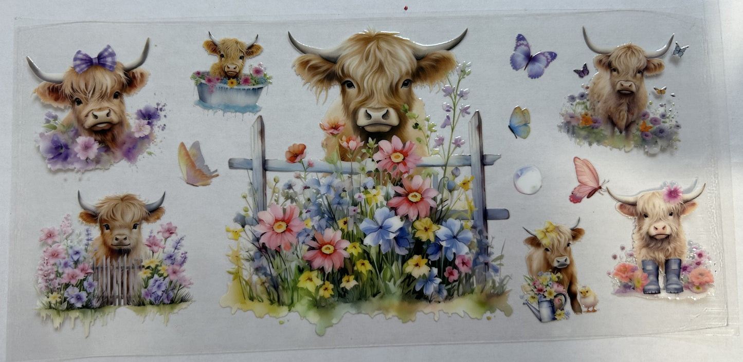 Cows and flowers