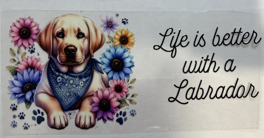Life is better with a Labrador