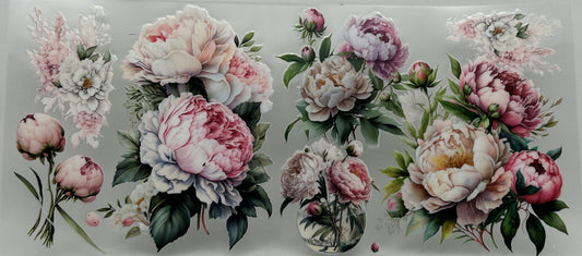 Peony Flower