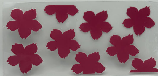 Hibiscus Flowers