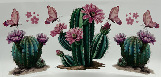 Cactus, butterflies and flowers