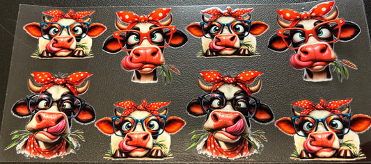 Cows with red bows and glasses