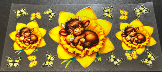 Highland Cow in Yellow flower